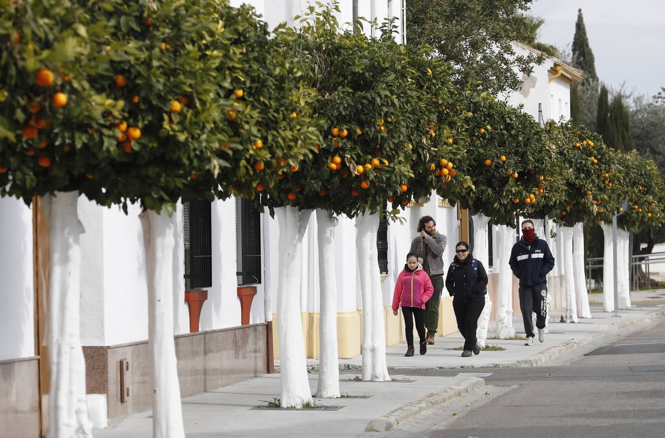Paseo Fotogr fico Por Encinarejo